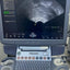 GE Voluson S6 with convex and TVS probe Year 2013